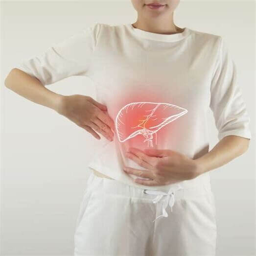 Le CBD, un allié pour le foie ?