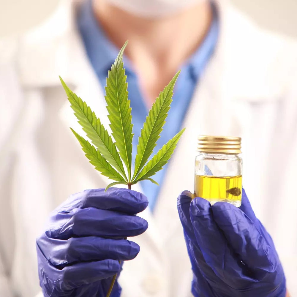 Pourquoi le CBD est-il médicinal ?