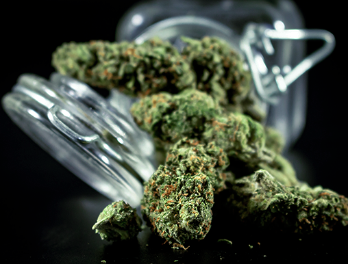 Fleurs Indoors Cbd