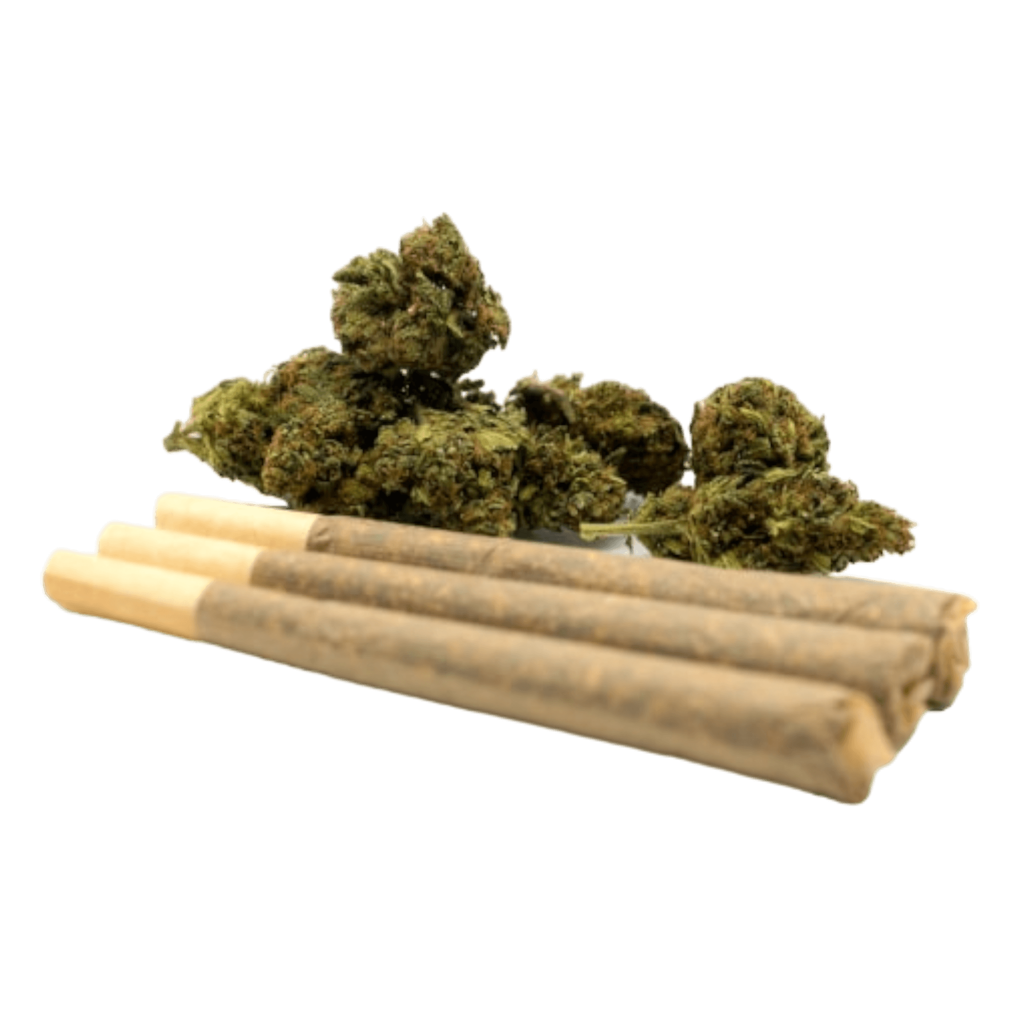 Préroulé 1.4g Greenhouse