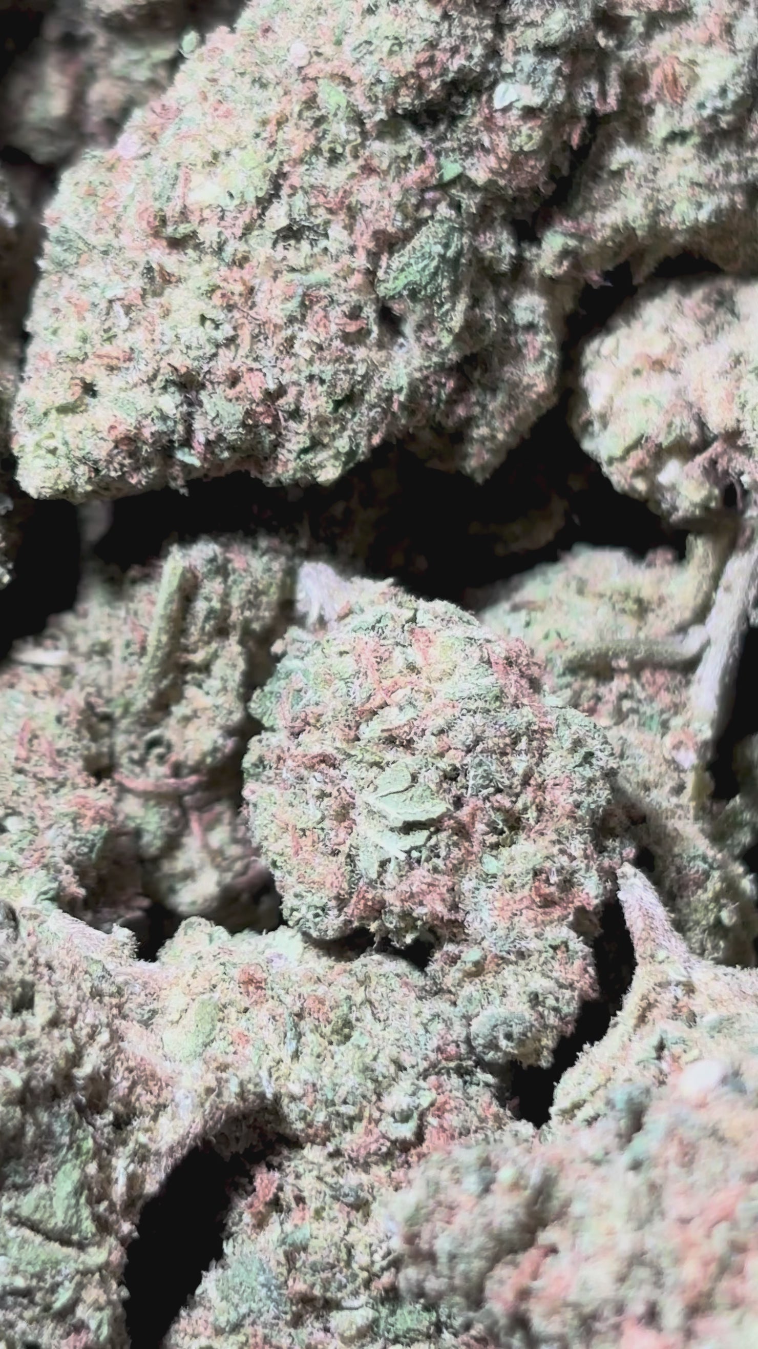 Charger la vidéo : Banana Kush