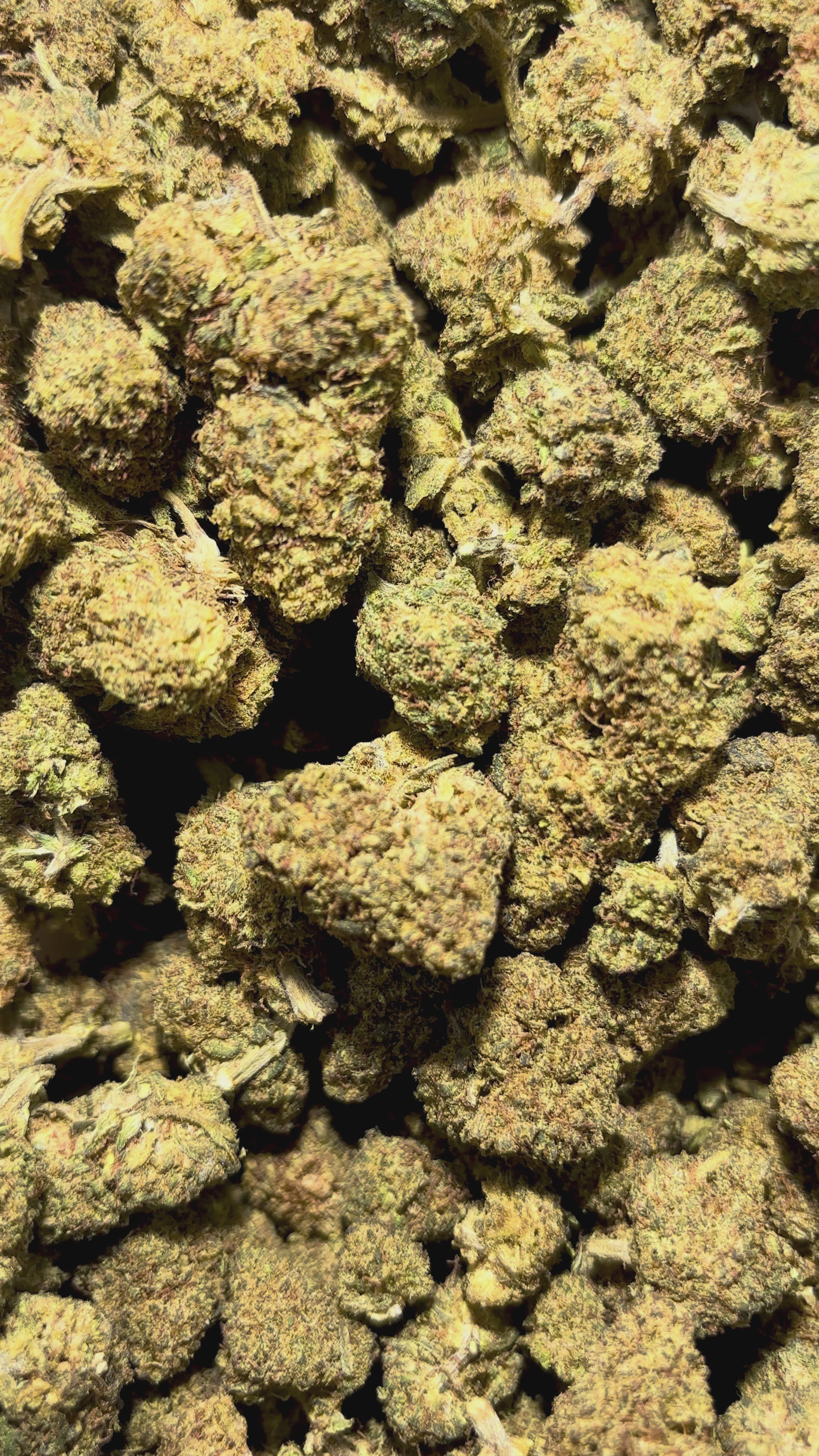 Charger la vidéo : Melon Cake+